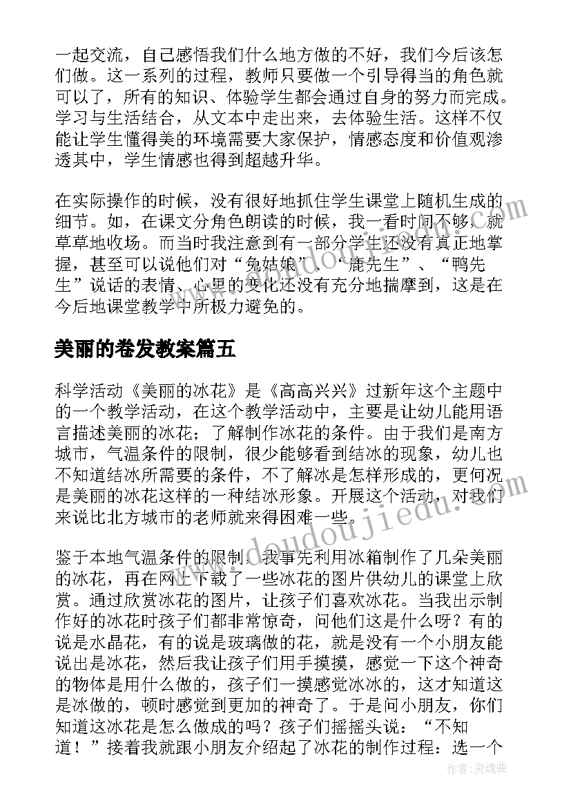 美丽的卷发教案(模板8篇)