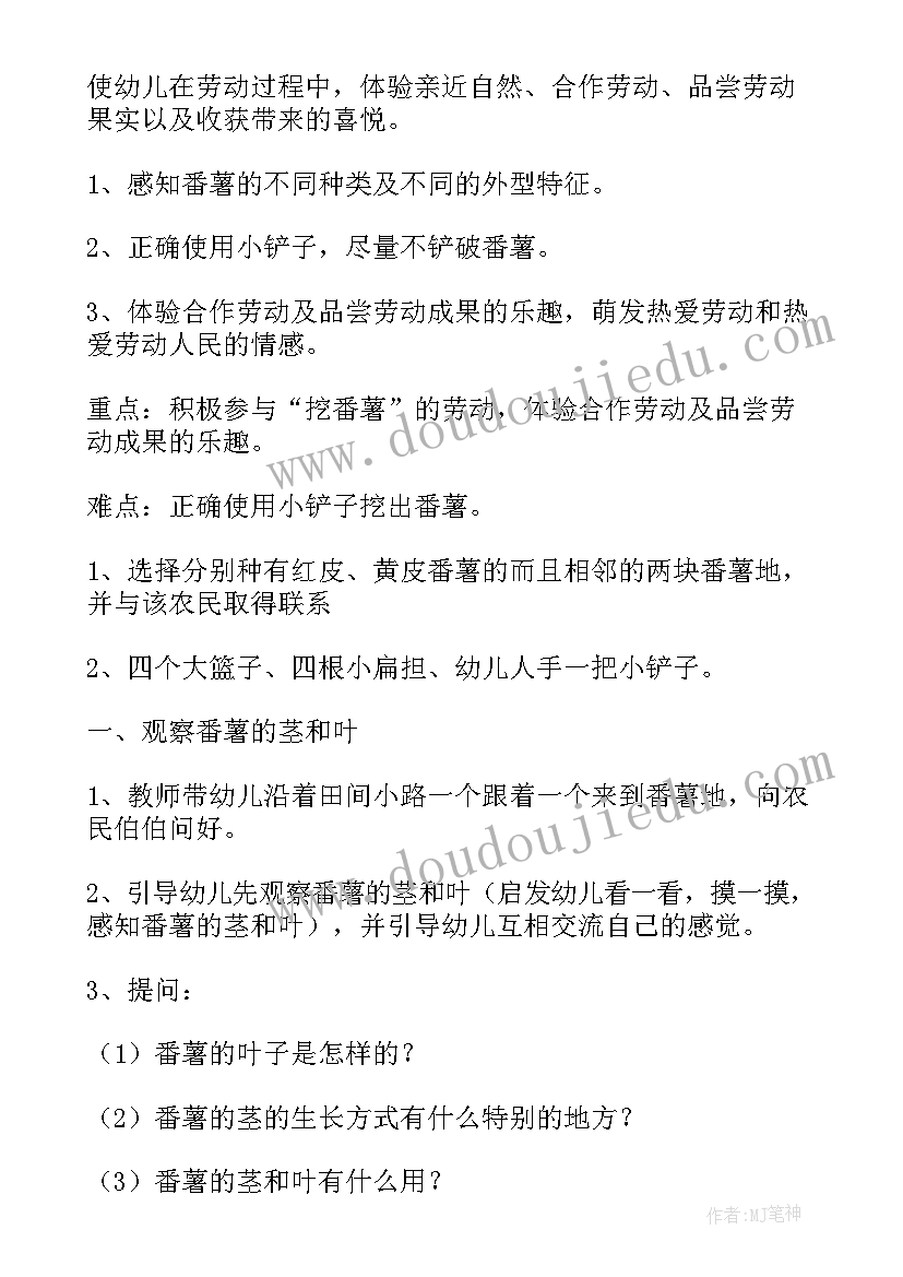 最新大班幼儿园区域活动设计方案(汇总8篇)