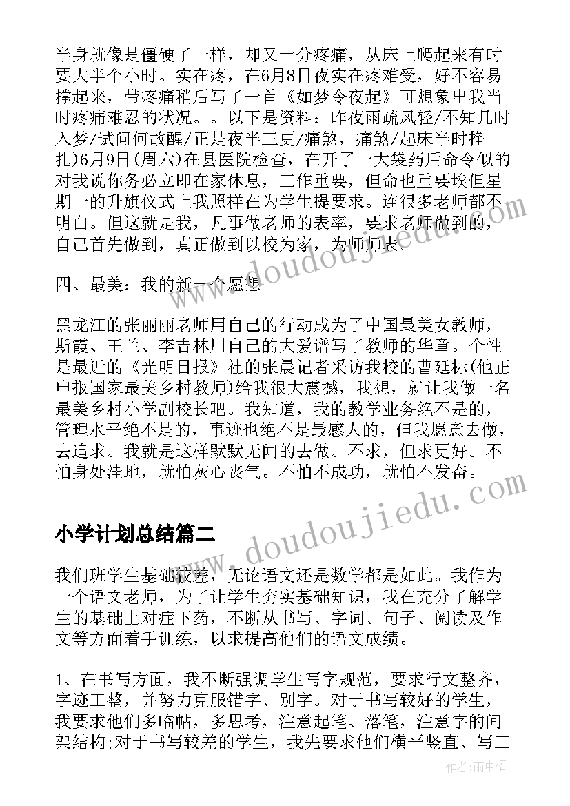 2023年小学计划总结(优秀8篇)