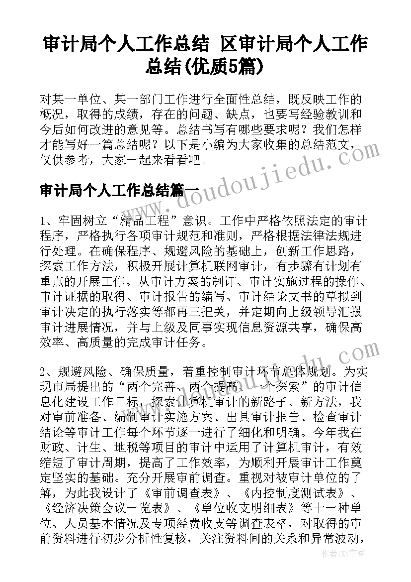 审计局个人工作总结 区审计局个人工作总结(优质5篇)