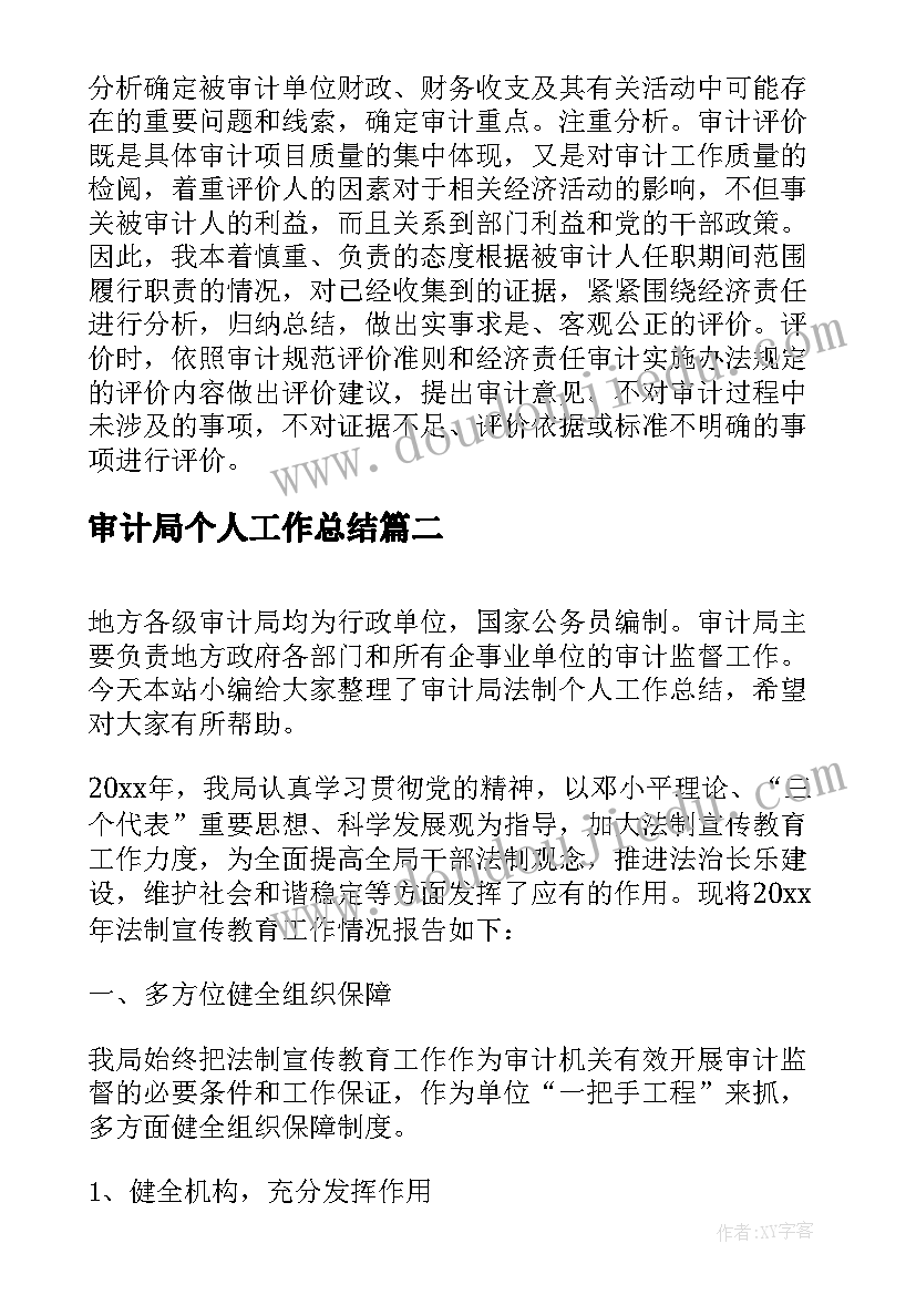 审计局个人工作总结 区审计局个人工作总结(优质5篇)