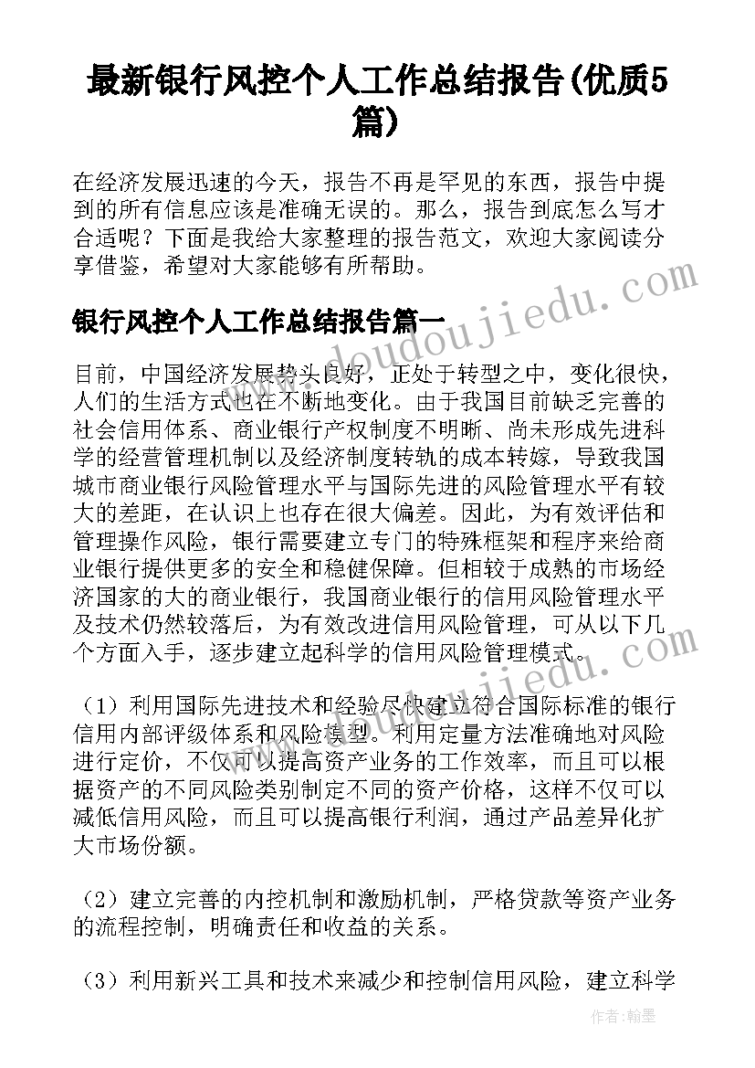 最新银行风控个人工作总结报告(优质5篇)