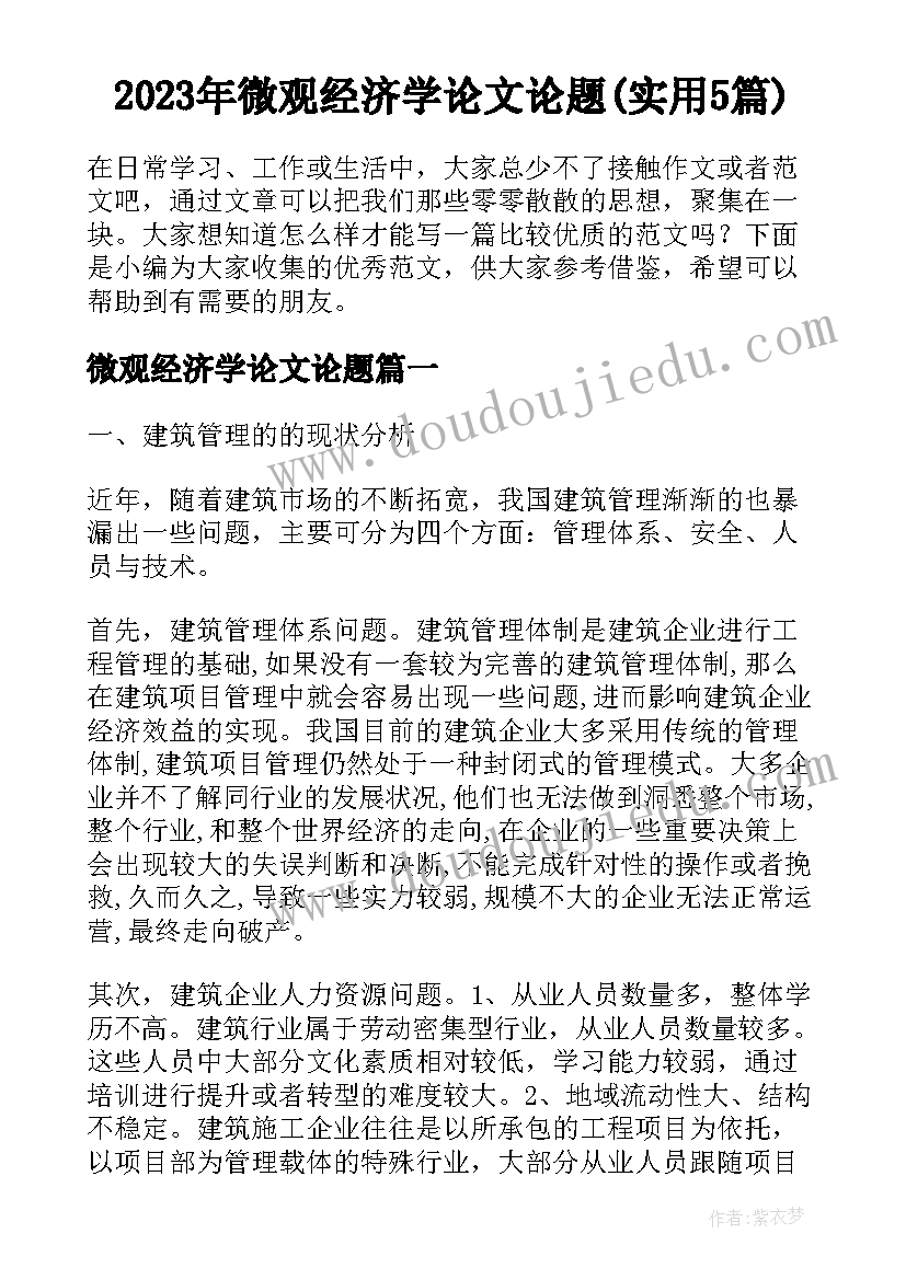 2023年微观经济学论文论题(实用5篇)