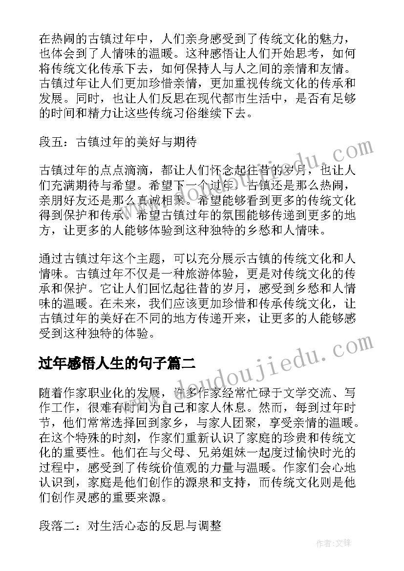 2023年过年感悟人生的句子(模板7篇)