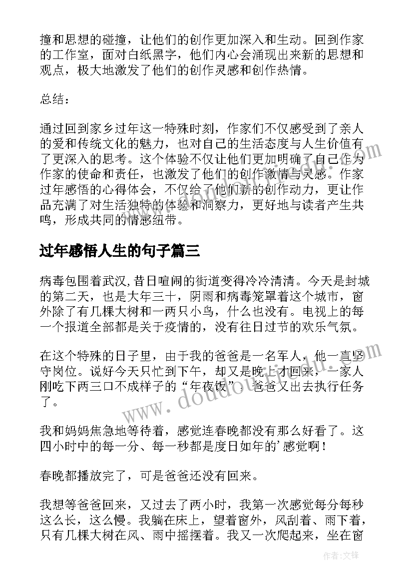 2023年过年感悟人生的句子(模板7篇)