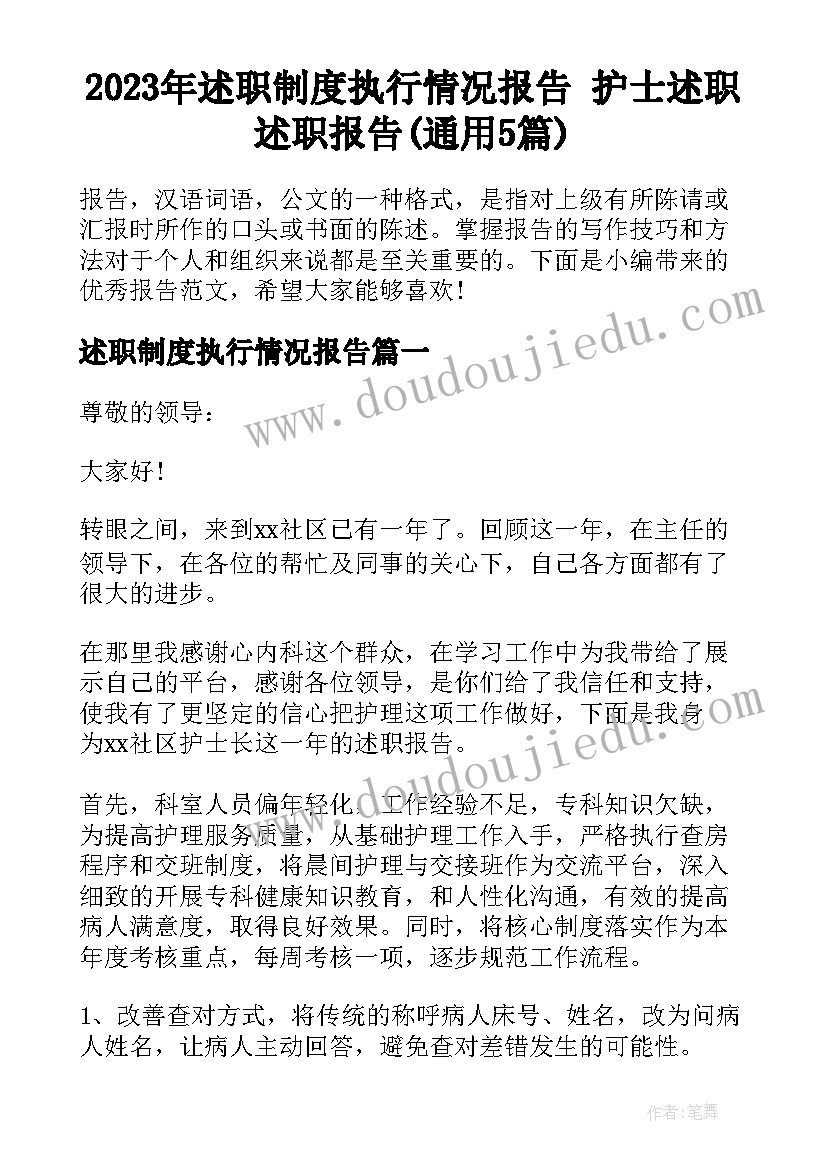 2023年述职制度执行情况报告 护士述职述职报告(通用5篇)