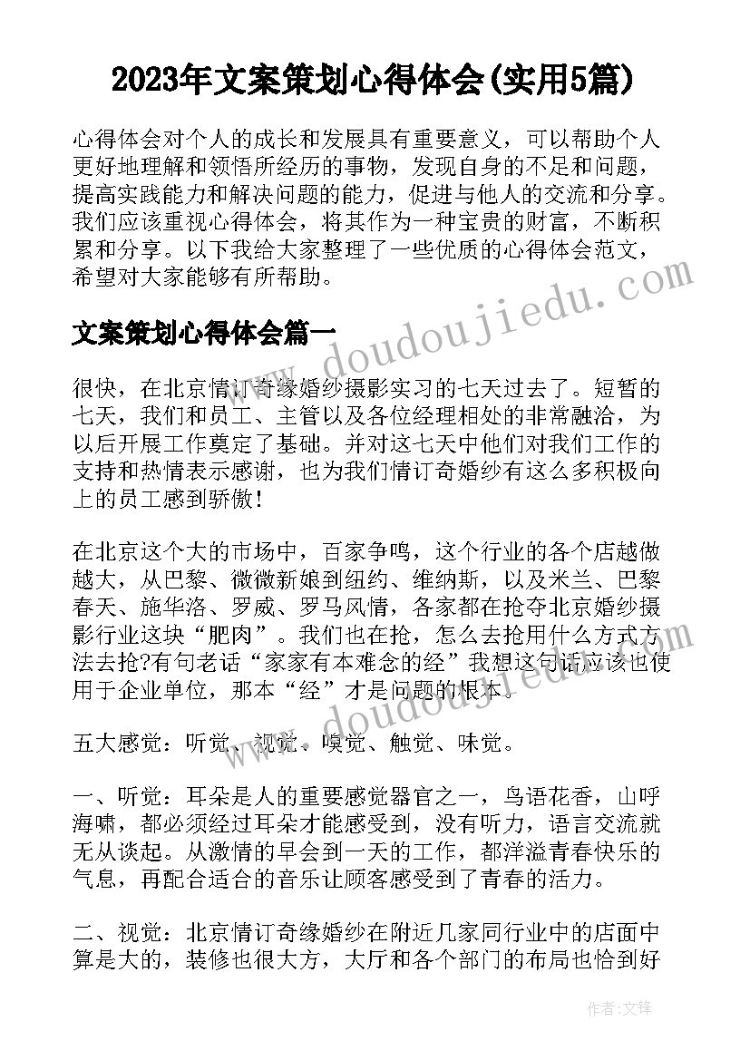 2023年文案策划心得体会(实用5篇)