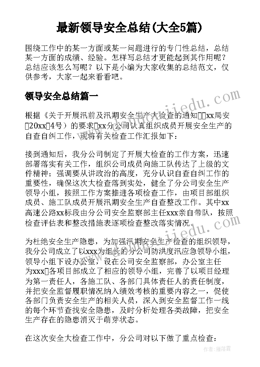 最新领导安全总结(大全5篇)