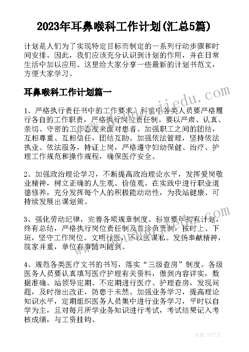 2023年耳鼻喉科工作计划(汇总5篇)