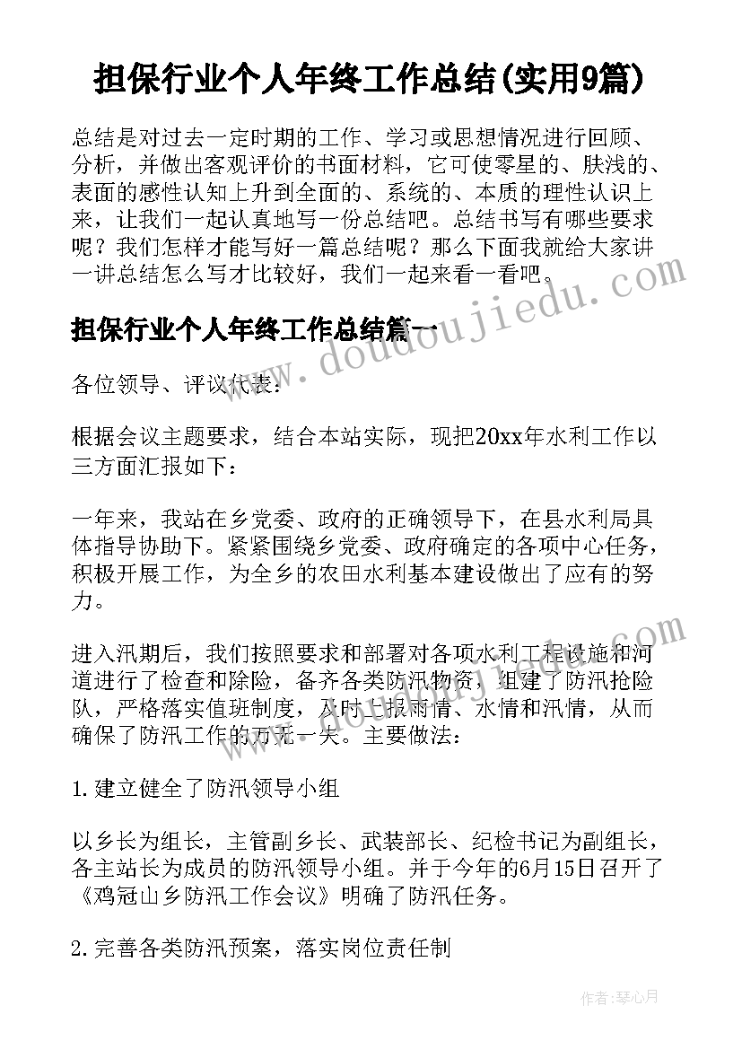 担保行业个人年终工作总结(实用9篇)