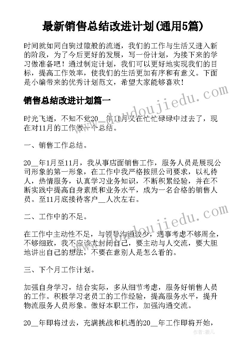 最新销售总结改进计划(通用5篇)