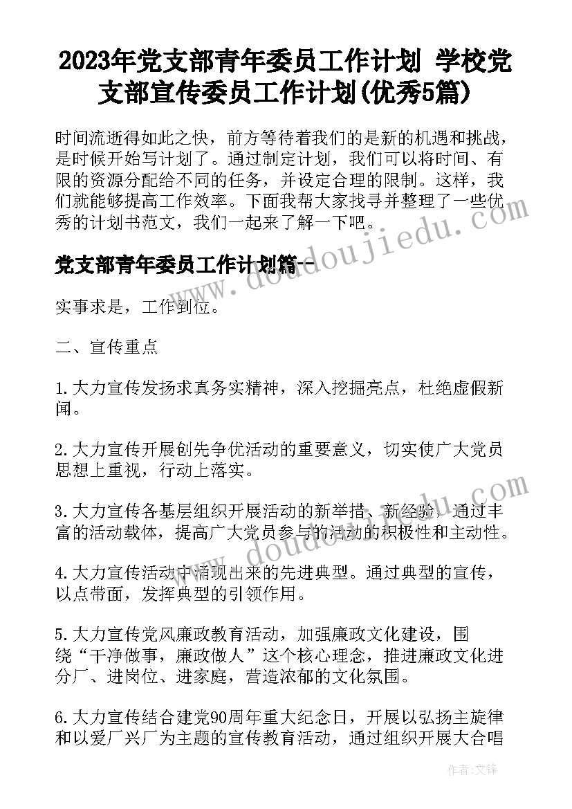 2023年党支部青年委员工作计划 学校党支部宣传委员工作计划(优秀5篇)