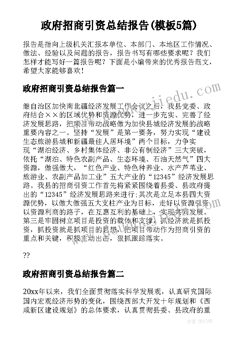 政府招商引资总结报告(模板5篇)