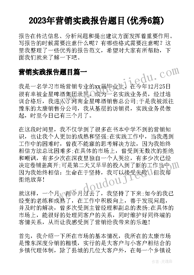 2023年营销实践报告题目(优秀6篇)