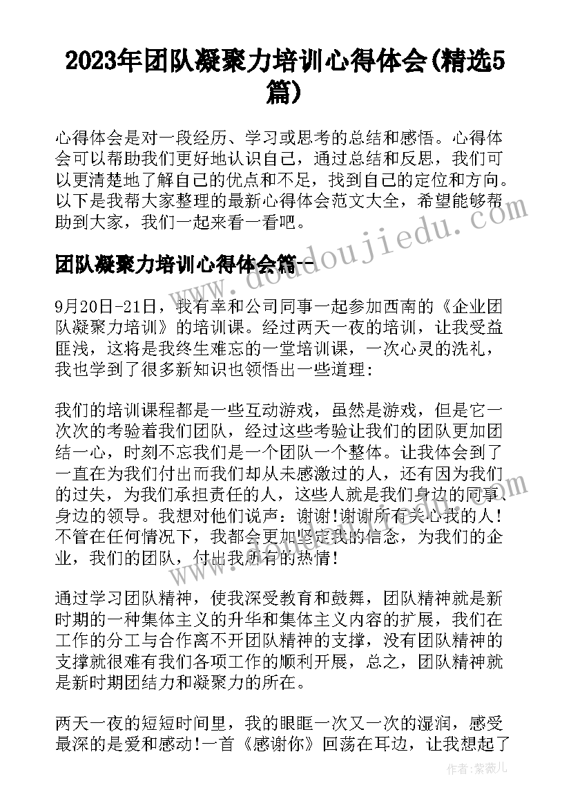 2023年团队凝聚力培训心得体会(精选5篇)