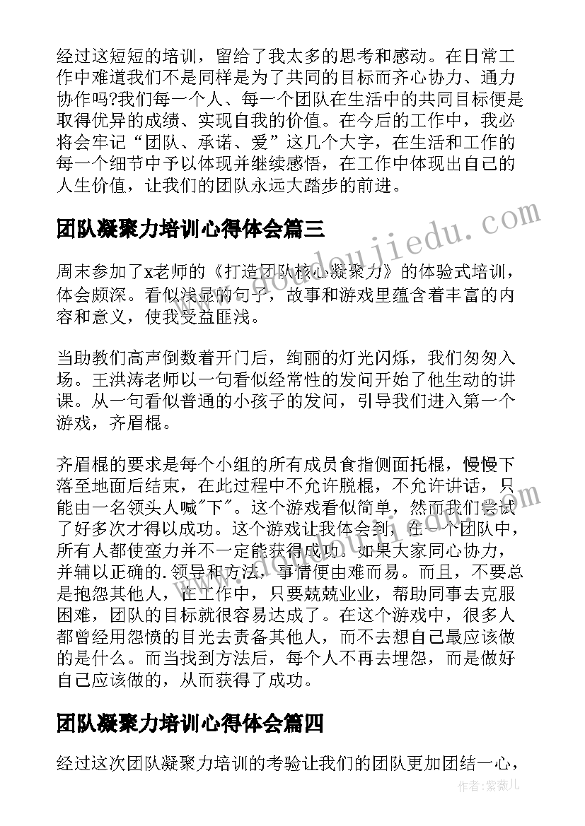 2023年团队凝聚力培训心得体会(精选5篇)