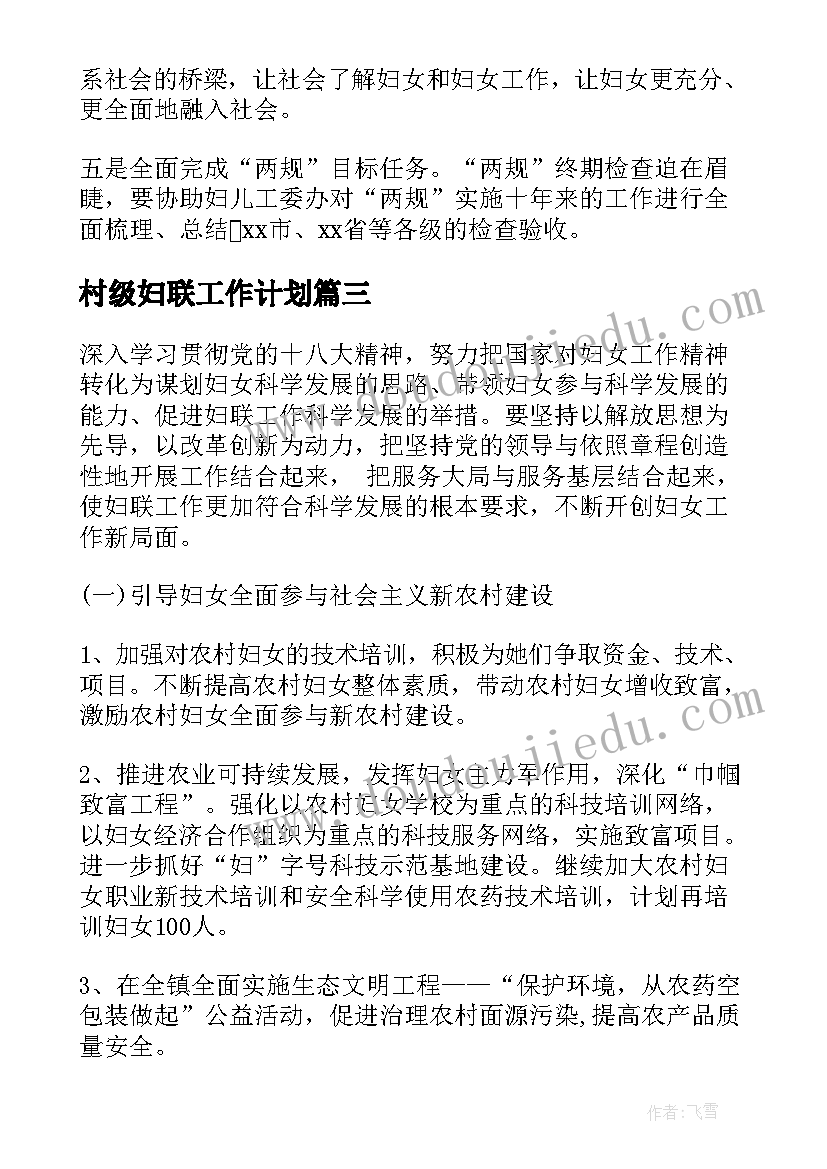 村级妇联工作计划(模板6篇)