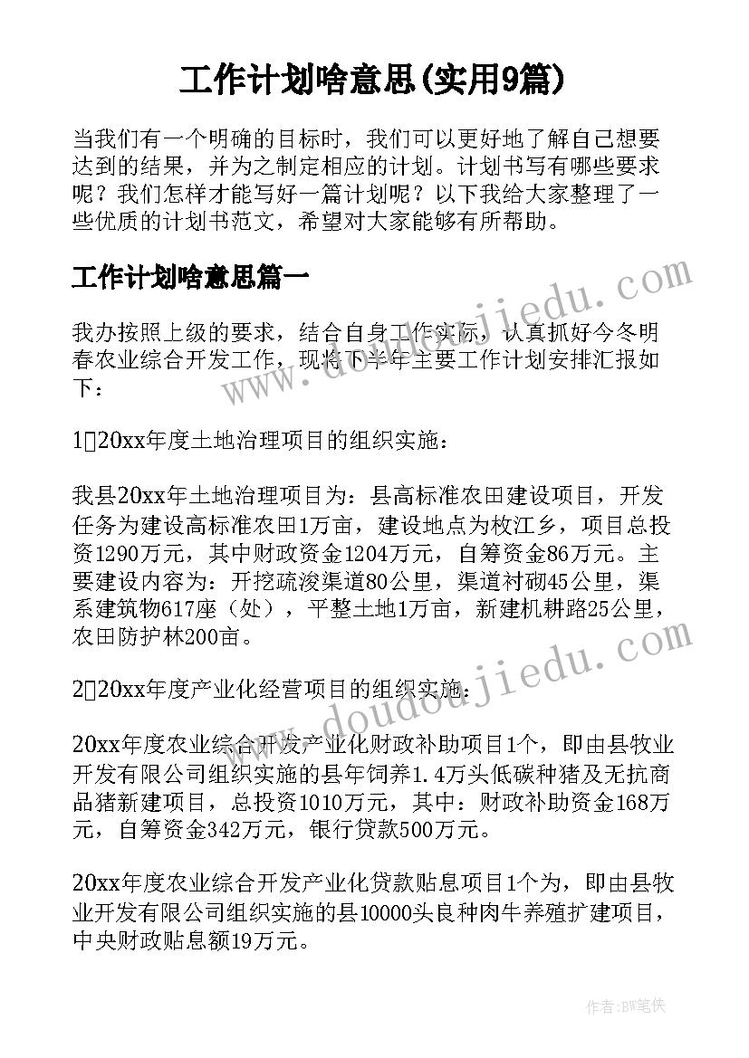 工作计划啥意思(实用9篇)