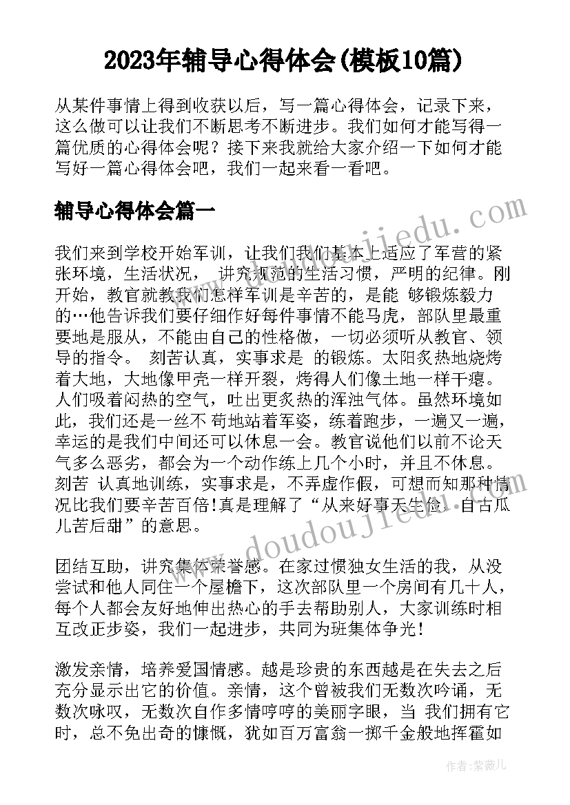 2023年辅导心得体会(模板10篇)