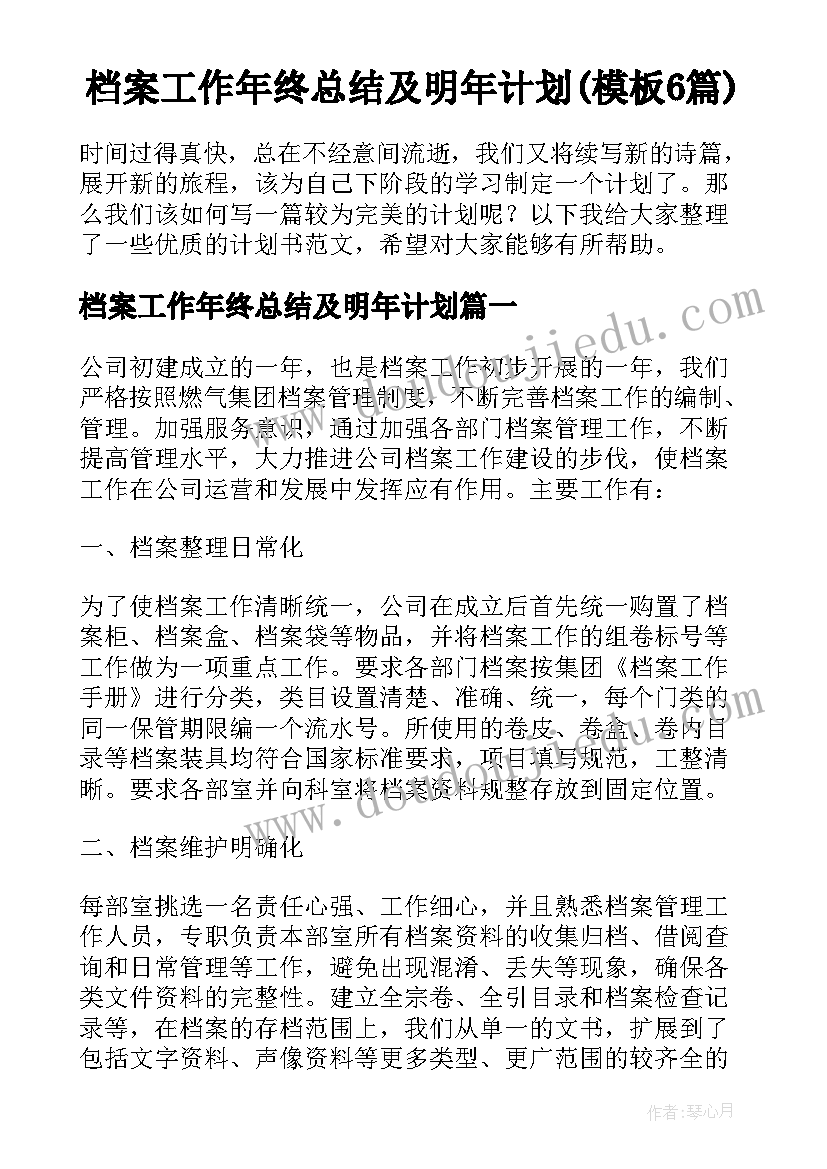 档案工作年终总结及明年计划(模板6篇)