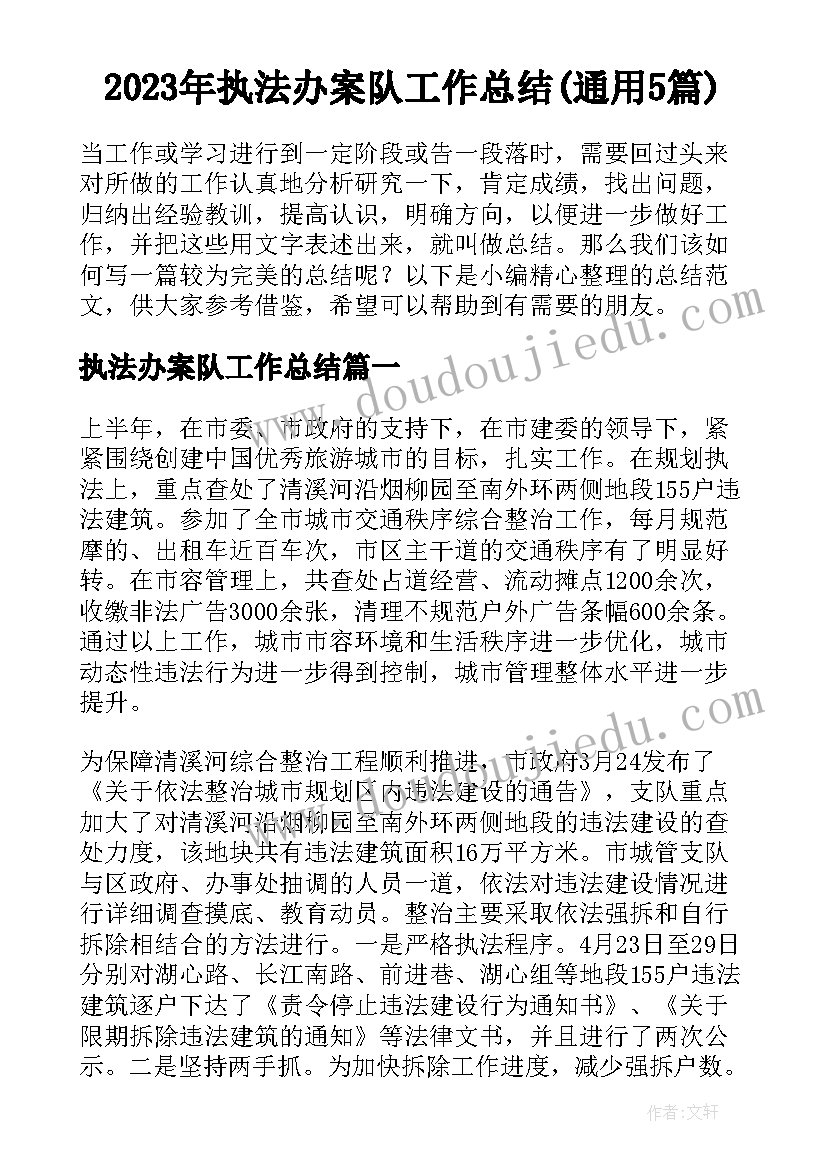 2023年执法办案队工作总结(通用5篇)