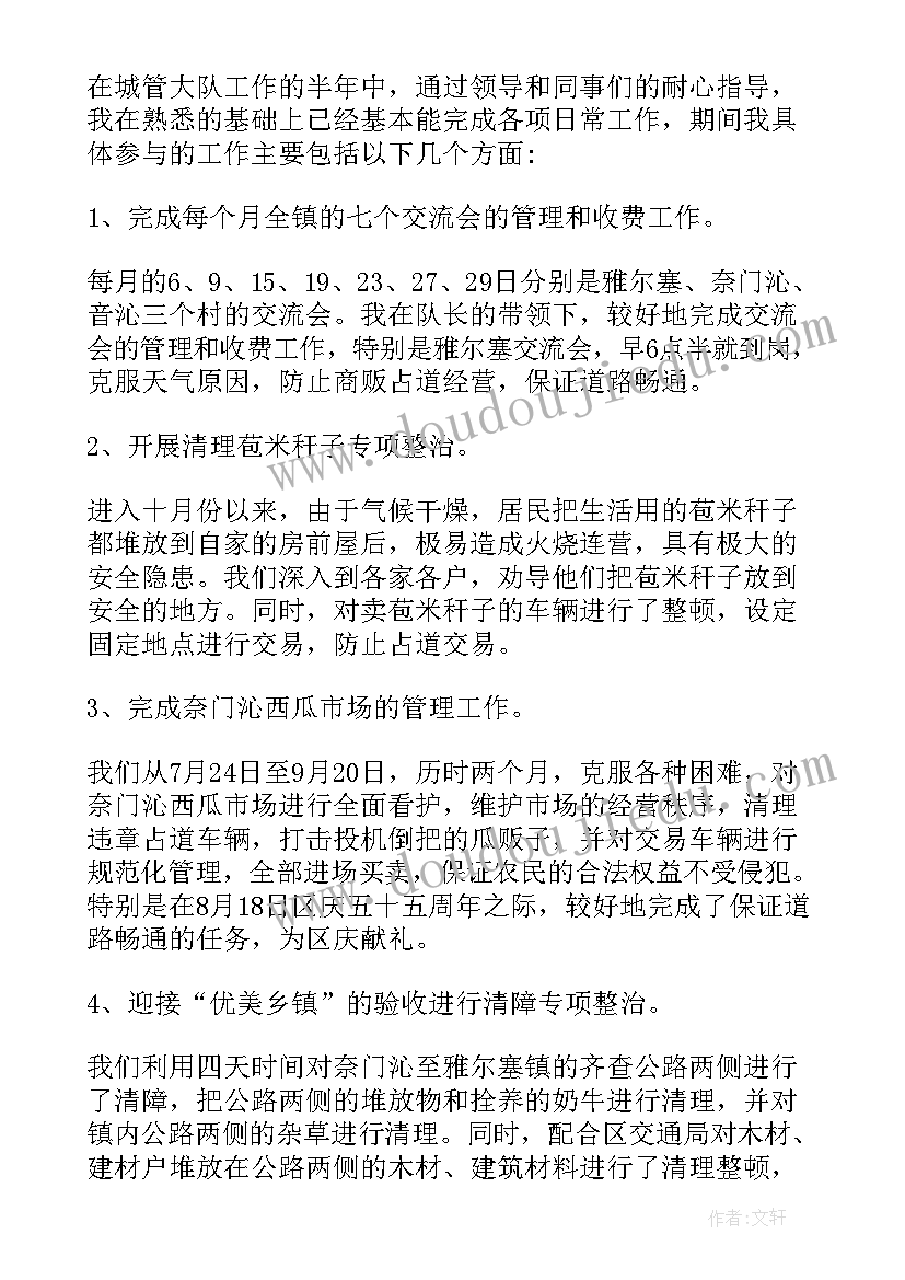 2023年执法办案队工作总结(通用5篇)