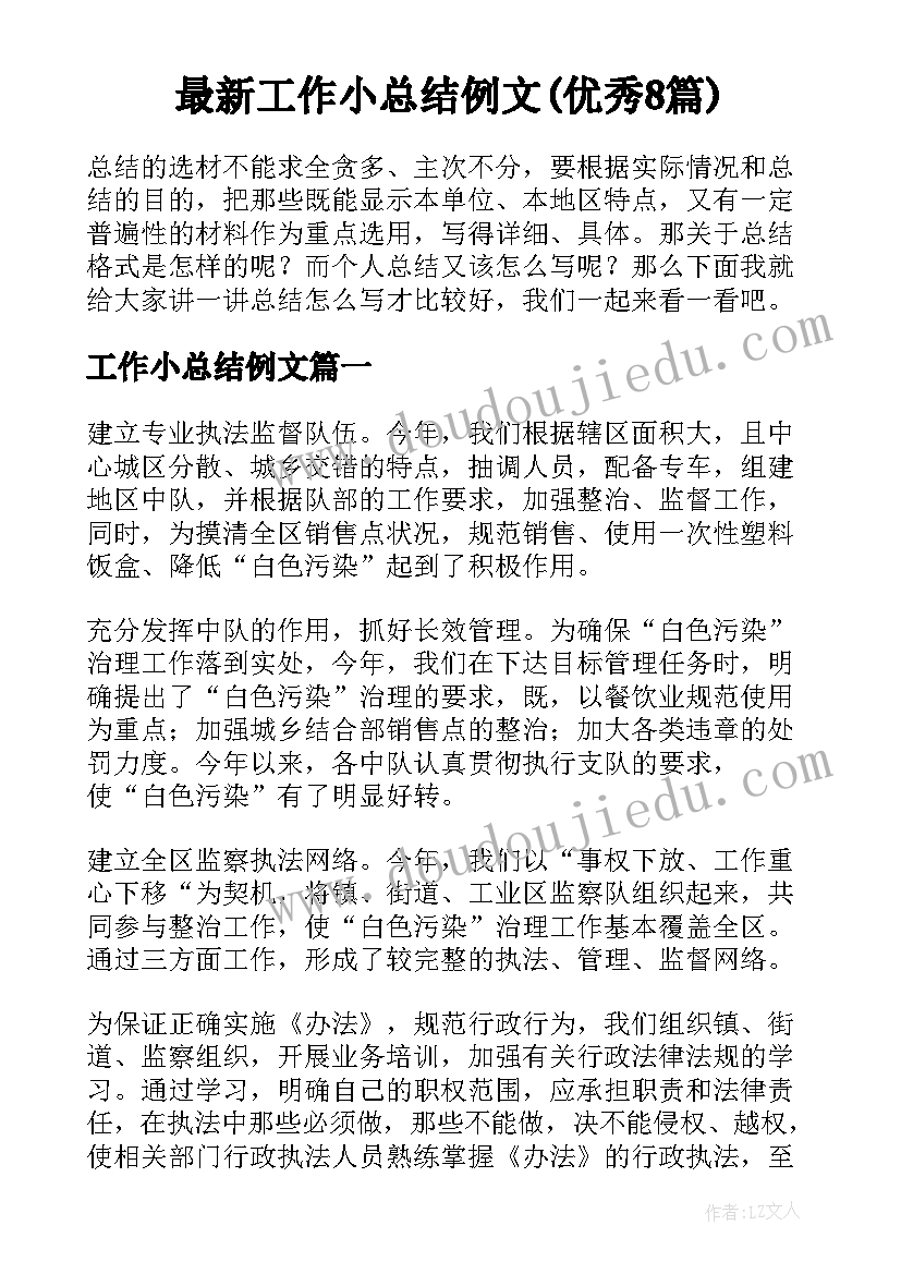 最新工作小总结例文(优秀8篇)