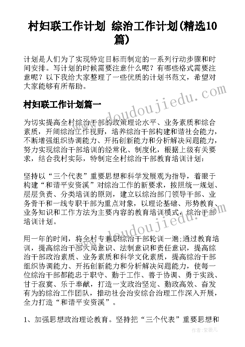 村妇联工作计划 综治工作计划(精选10篇)