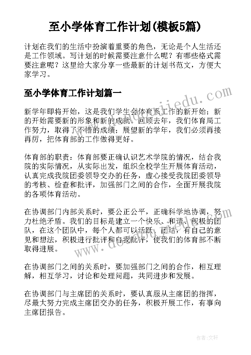 至小学体育工作计划(模板5篇)