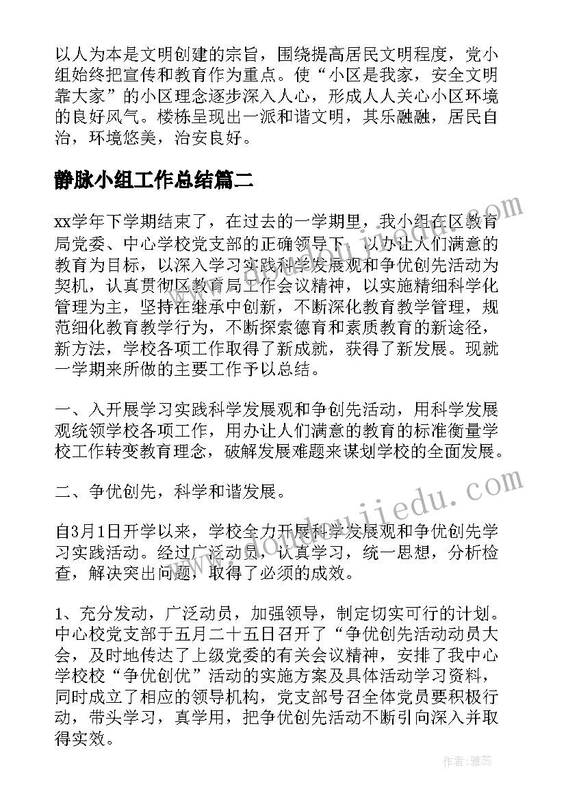 静脉小组工作总结(优质6篇)