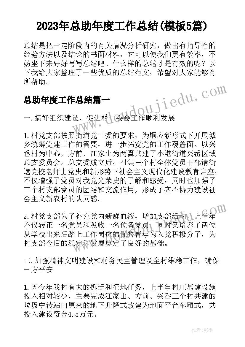 2023年总助年度工作总结(模板5篇)