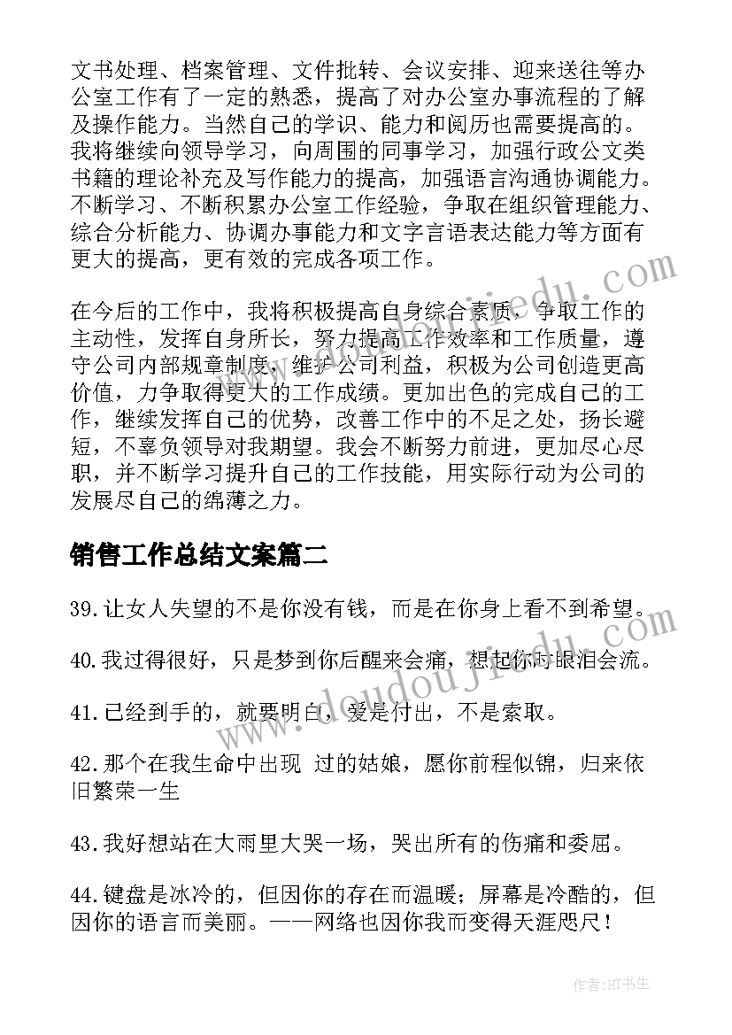 销售工作总结文案(优秀5篇)