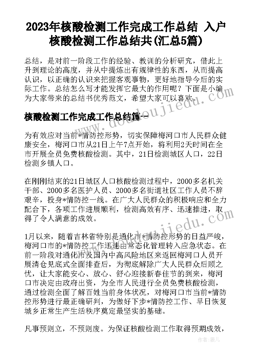 2023年核酸检测工作完成工作总结 入户核酸检测工作总结共(汇总5篇)