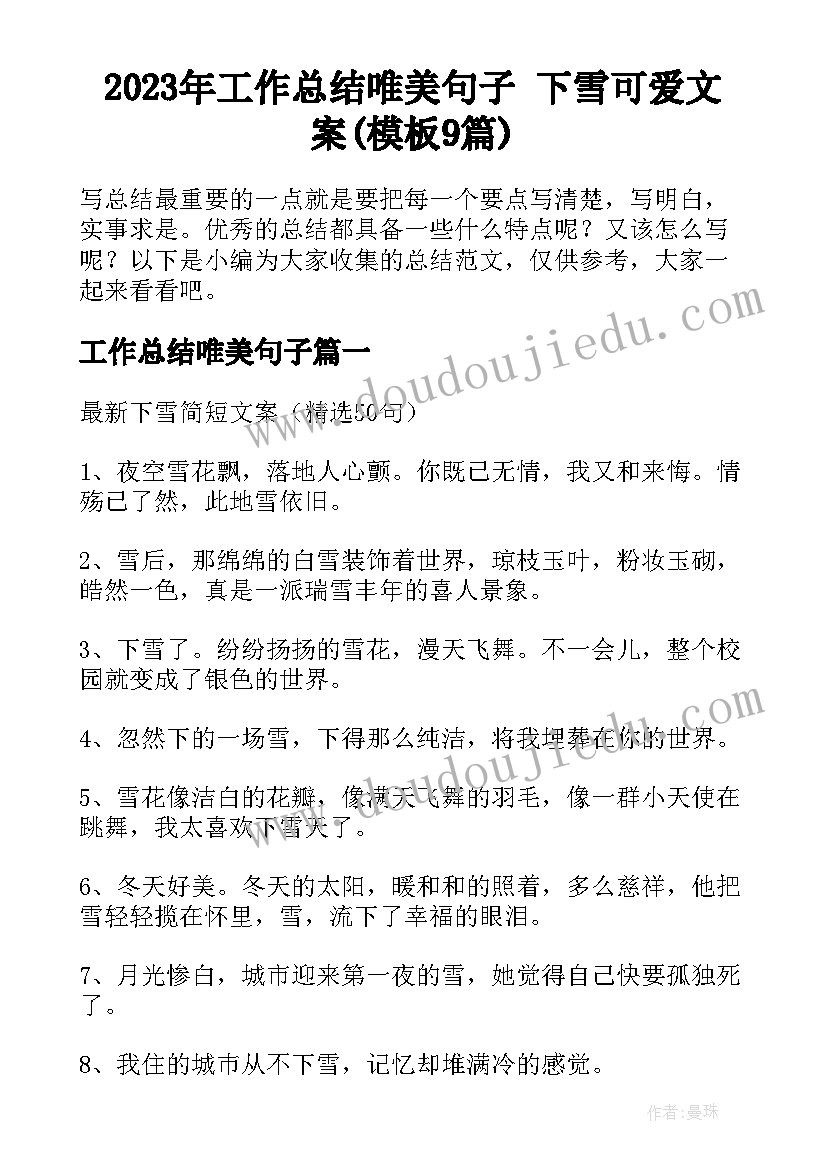 2023年工作总结唯美句子 下雪可爱文案(模板9篇)