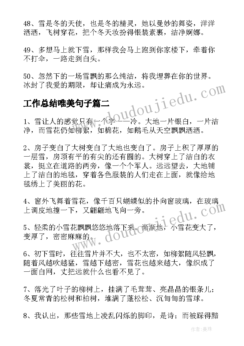 2023年工作总结唯美句子 下雪可爱文案(模板9篇)