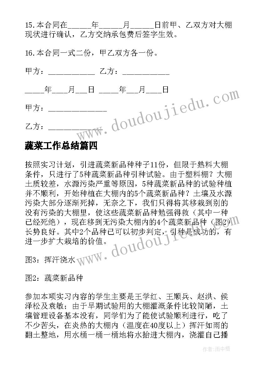 最新蔬菜工作总结 蔬菜基地实习工作总结(汇总5篇)