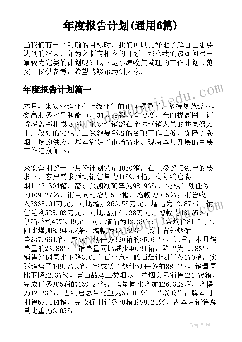 年度报告计划(通用6篇)