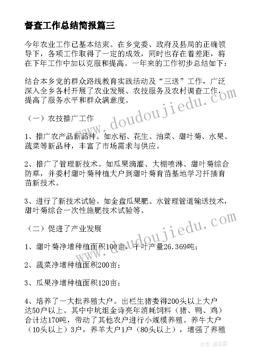 2023年督查工作总结简报(通用8篇)