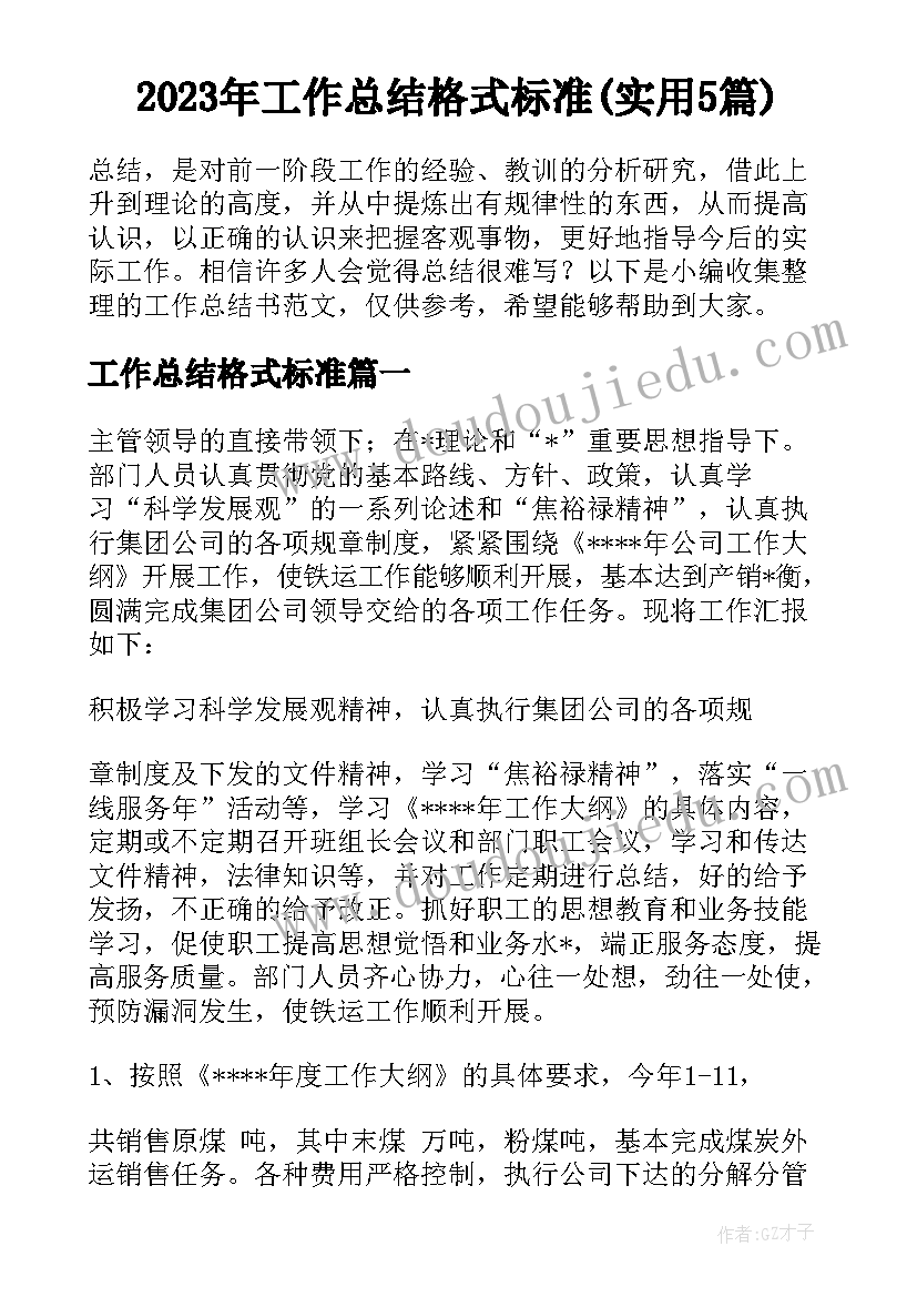 2023年工作总结格式标准(实用5篇)