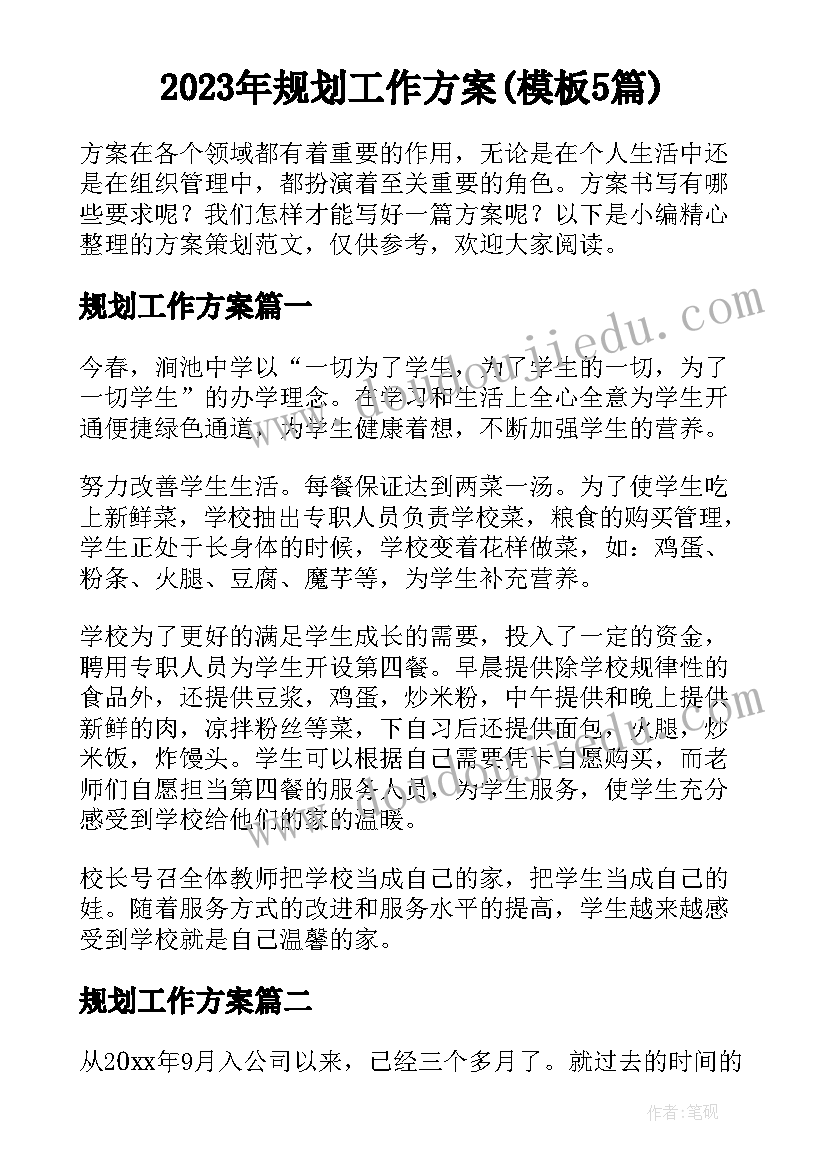 2023年规划工作方案(模板5篇)