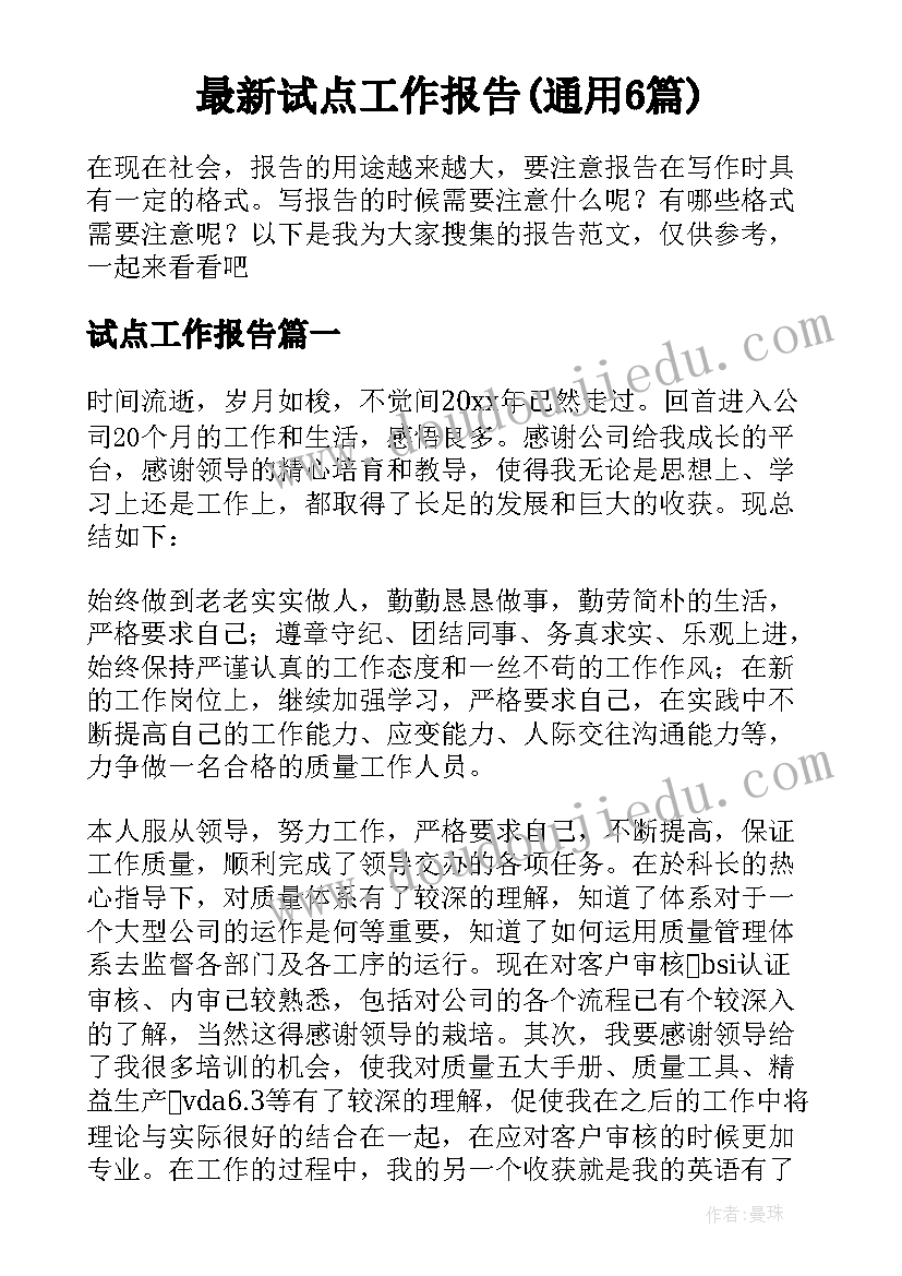 最新试点工作报告(通用6篇)