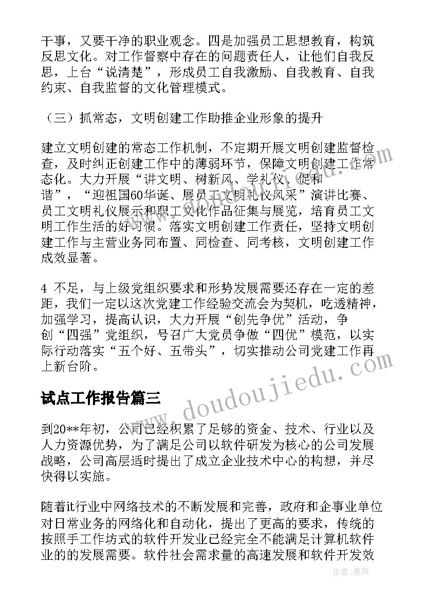 最新试点工作报告(通用6篇)