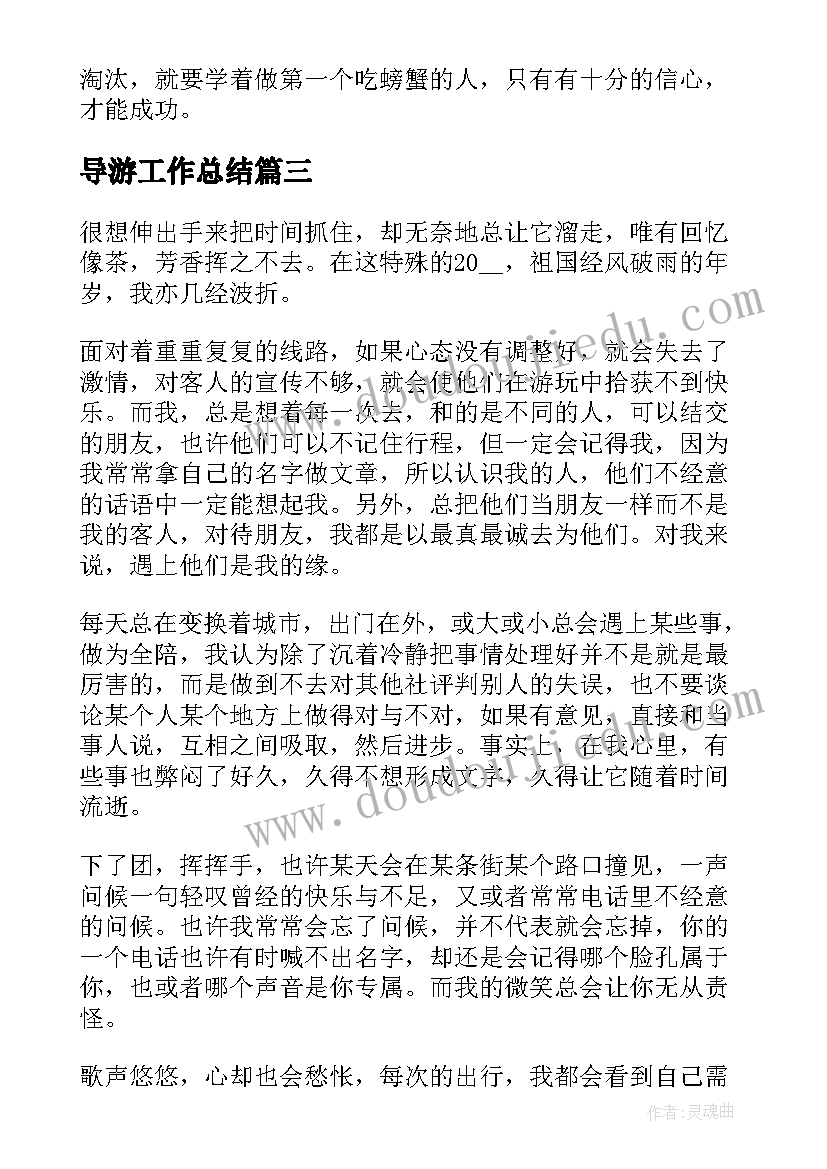 2023年导游工作总结(实用8篇)