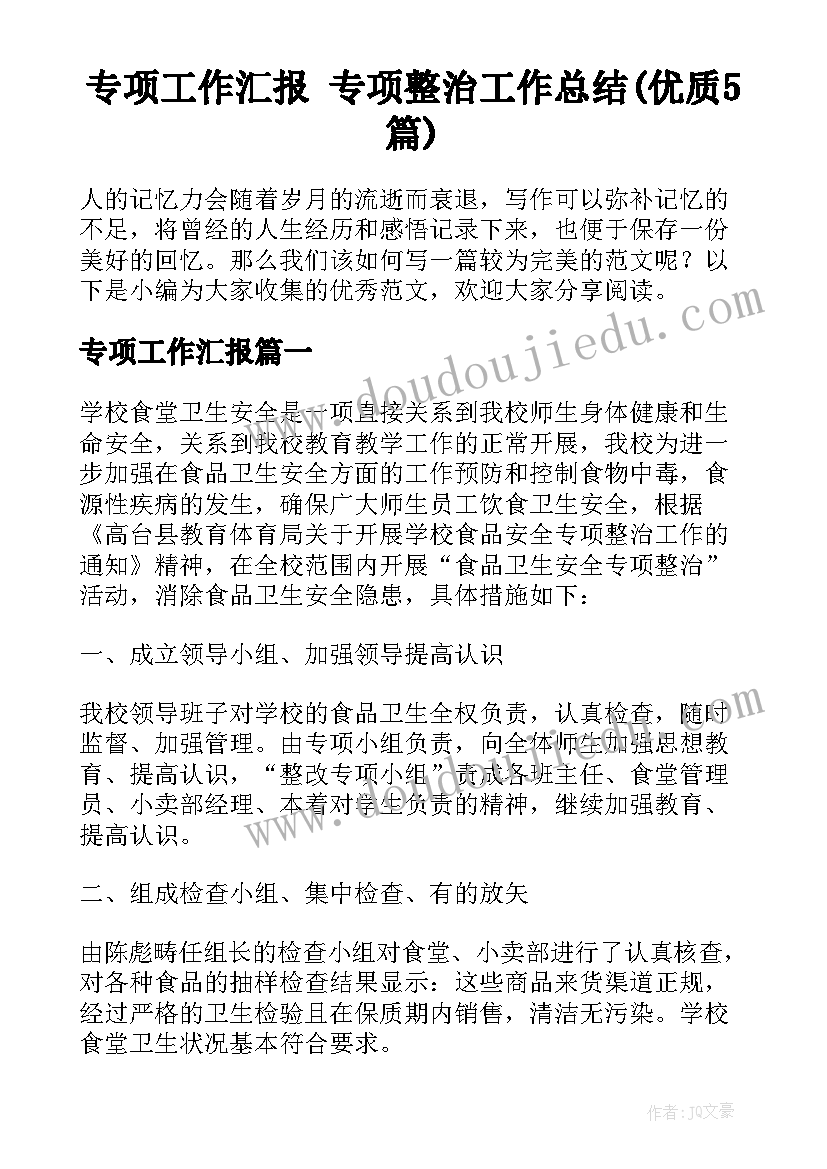 专项工作汇报 专项整治工作总结(优质5篇)