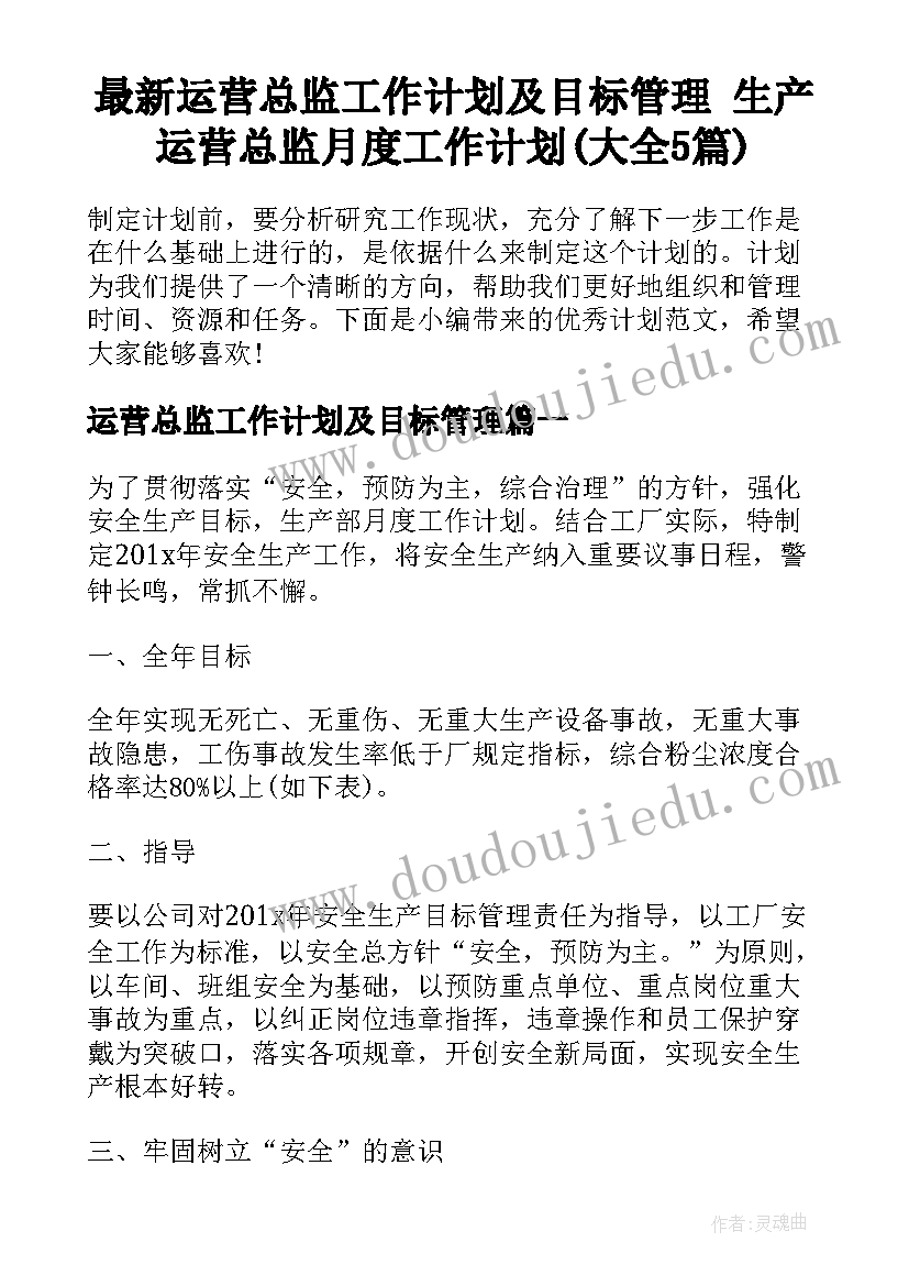 最新运营总监工作计划及目标管理 生产运营总监月度工作计划(大全5篇)