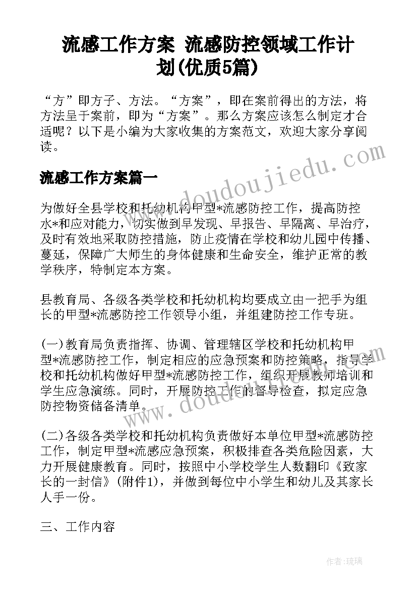 流感工作方案 流感防控领域工作计划(优质5篇)