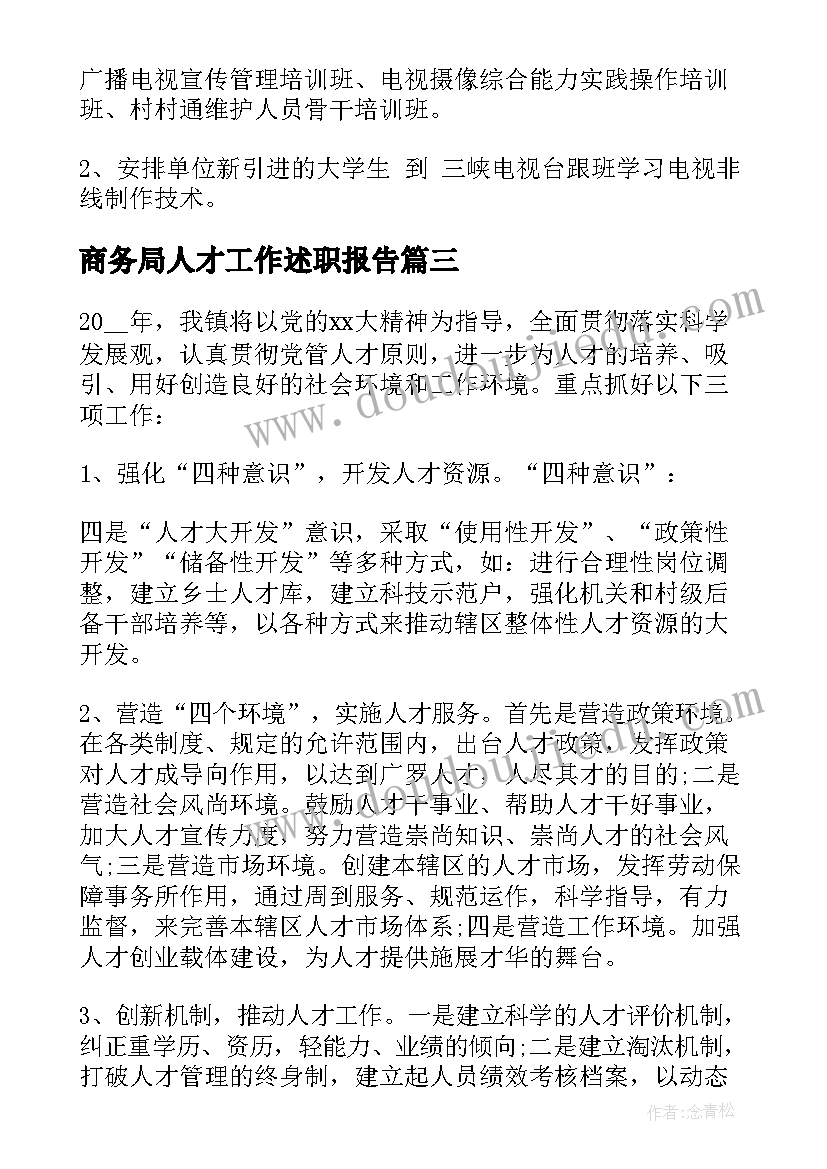 2023年商务局人才工作述职报告 乡镇人才工作计划(优质6篇)