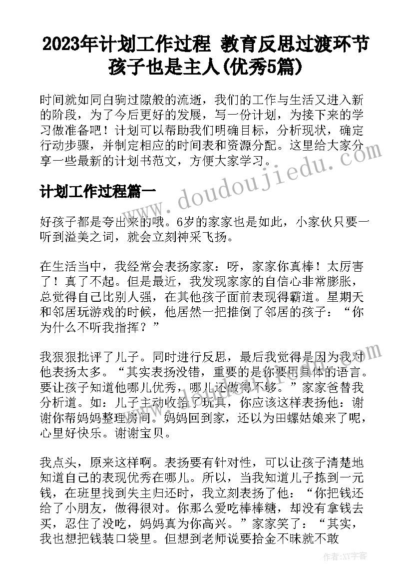 2023年计划工作过程 教育反思过渡环节孩子也是主人(优秀5篇)