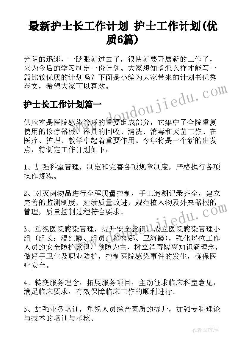 最新护士长工作计划 护士工作计划(优质6篇)