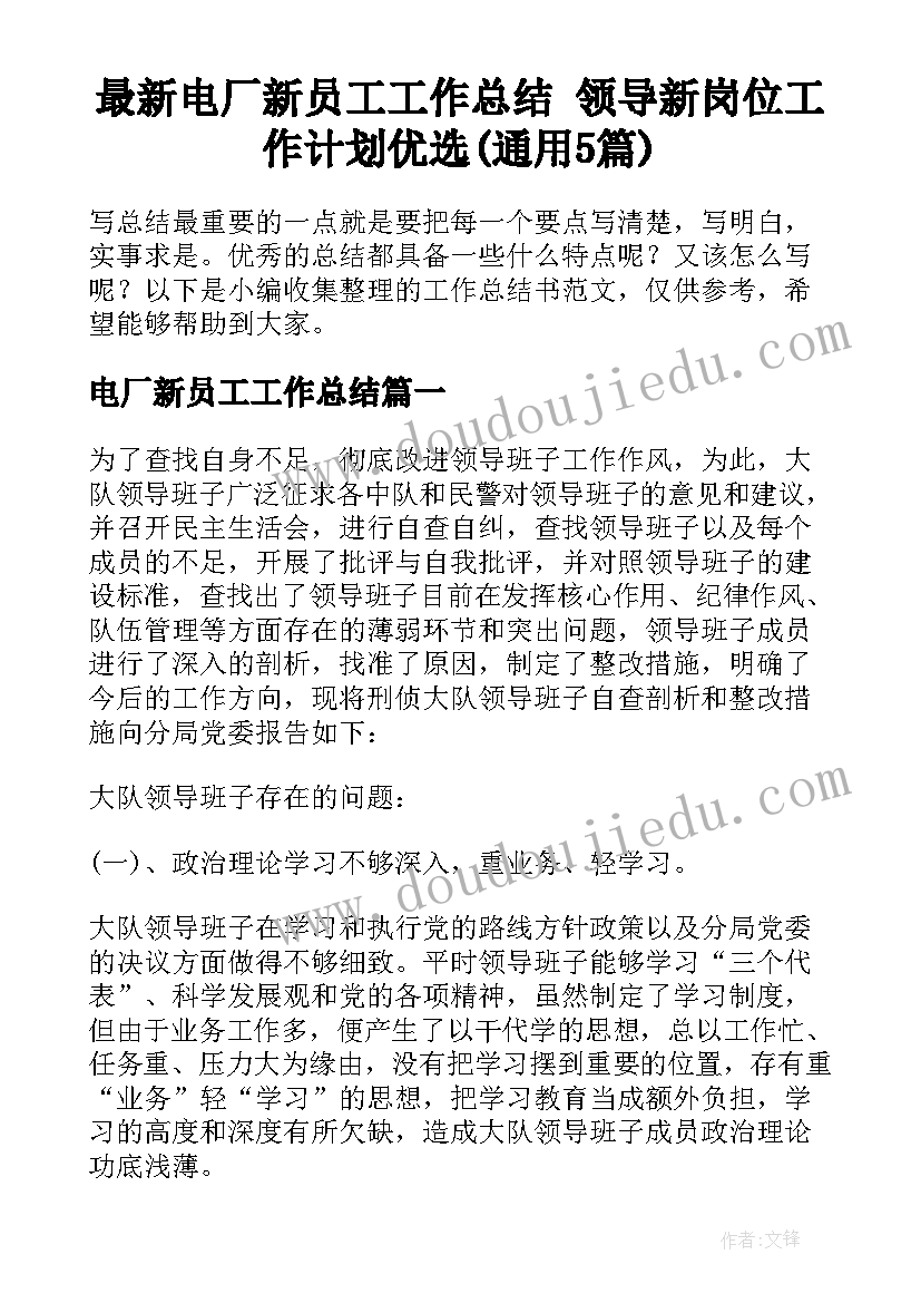 最新电厂新员工工作总结 领导新岗位工作计划优选(通用5篇)